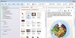 EverNote Ekran Grnts