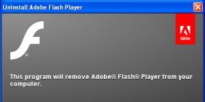 Adobe Flash Player Uninstaller Ekran Grnts