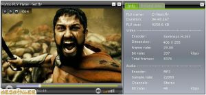Fortop FLV Player Ekran Görüntüsü