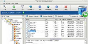 Free Data Recovery Software Ekran Grnts