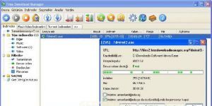 Free Download Manager Ekran Grnts