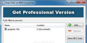 Free FLAC to MP3 Converter Ekran Grnts