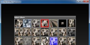 Free Gif Effect Ekran Grnts