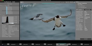 Fujifilm X RAW Studio Ekran Görüntüsü