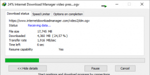 Internet Download Manager Ekran Grnts