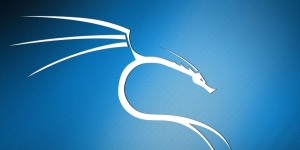 Kali Linux Ekran Görüntüsü
