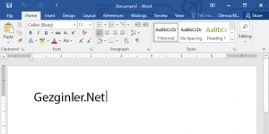 Microsoft Word Ekran Görüntüsü