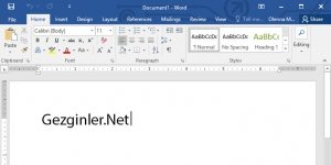 Microsoft Word Ekran Grnts