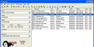 Mp3tag Ekran Grnts