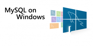 MySQL For Windows Ekran Grnts