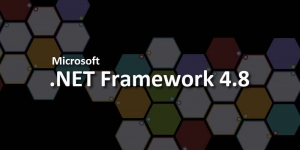 .NET Framework 4.8 Ekran Görüntüsü