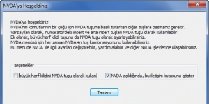 NVDA - Ekran Okuyucu Ekran Görüntüsü