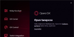 Opera GX Ekran Görüntüsü