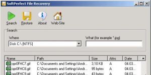 SoftPerfect File Recovery Ekran Görüntüsü