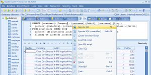 SQLite Expert Personal Ekran Grnts