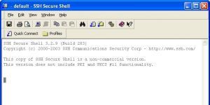 SSH Secure Shell Ekran Görüntüsü