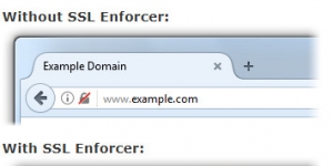 SSL Enforcer Ekran Görüntüsü