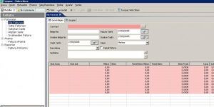 Turquaz Muhasebe Program Ekran Grnts