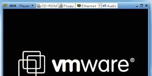 VMware Workstation Player Ekran Grnts