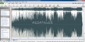 WavePad Audio and Music Editor Ekran Grnts