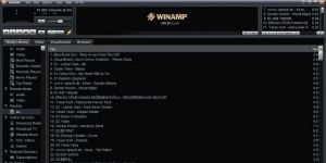 Winamp Ekran Grnts