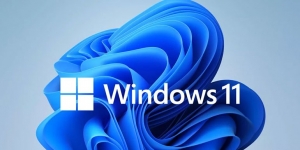 Windows 11 Ekran Görüntüsü