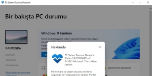 Windows 11 PC Sistem Durumu Denetimi Ekran Grnts