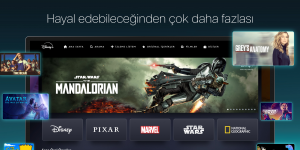 Windows iin Disney+ Ekran Grnts