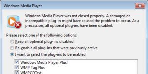 Windows Media Player Plus! Ekran Grnts