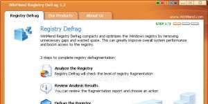 WinMend Registry Defrag Ekran Görüntüsü