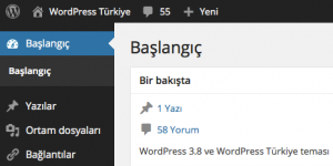 WordPress Türkçe Ekran Görüntüsü