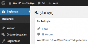 WordPress Trke Ekran Grnts