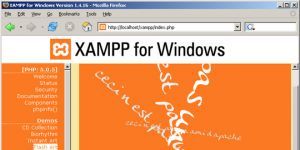 XAMPP Ekran Grnts