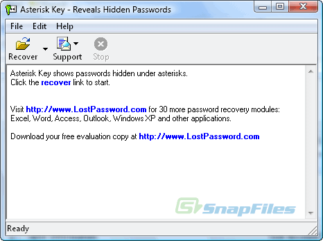 Passware Asterisk Key Ekran Goruntusu