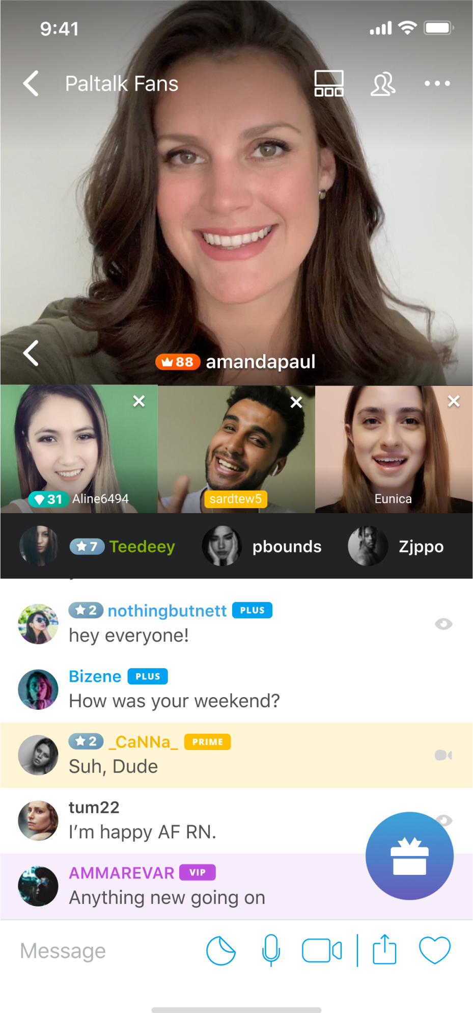 Paltalk Messenger Ekran Goruntusu