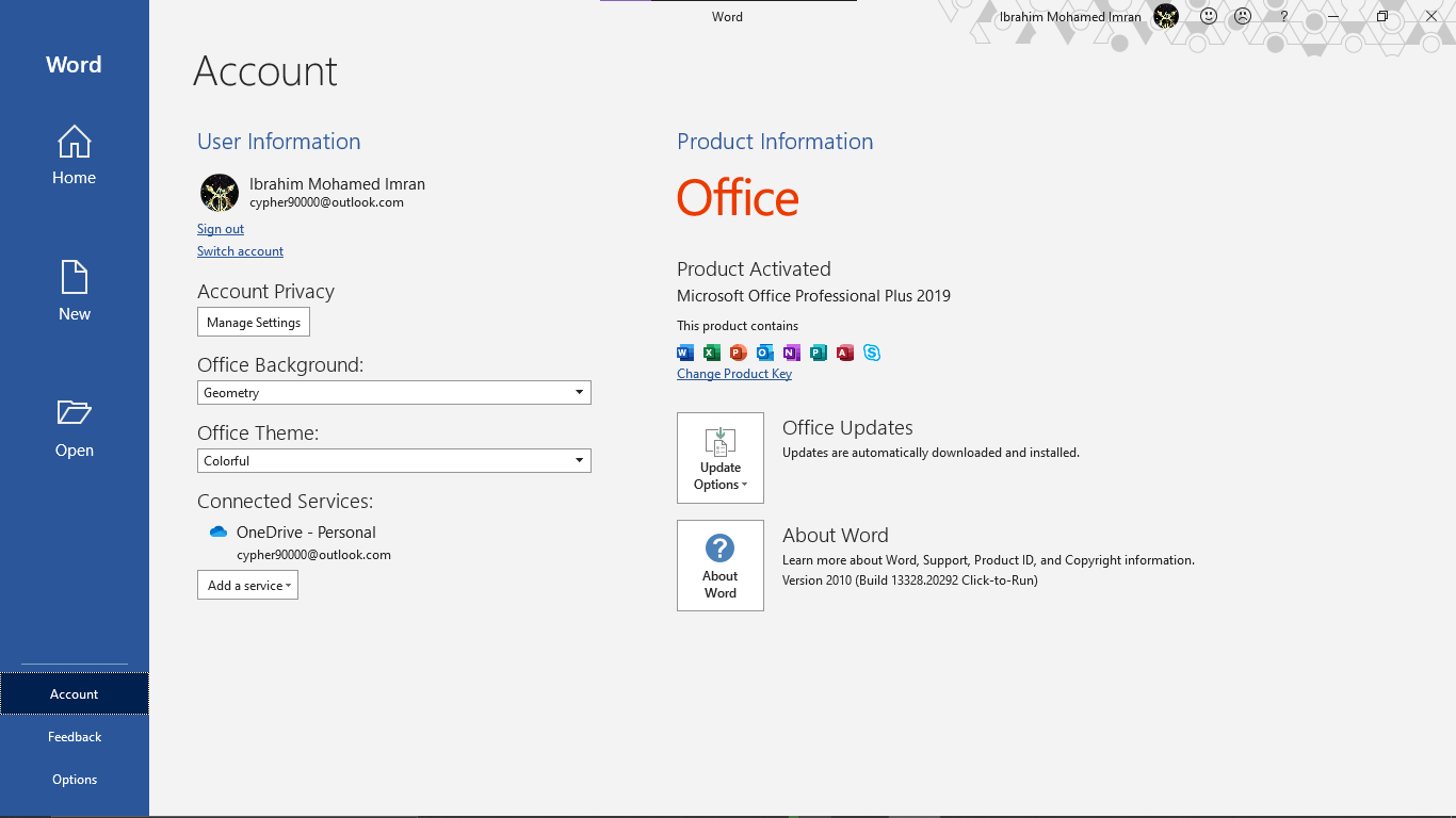Microsoft Office 2019 Professional Ekran Goruntusu