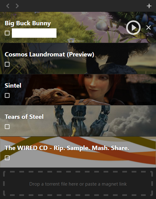 WebTorrent Desktop Ekran Goruntusu