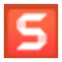 SnagIt Screen Capture