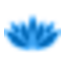 Bliss OS
