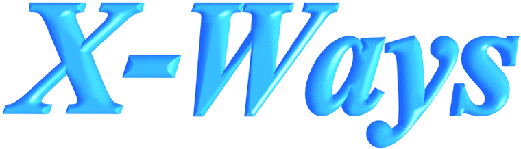 WinHex indir