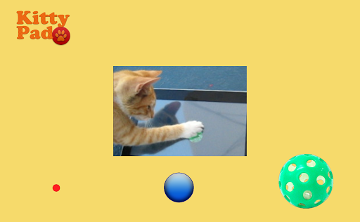 Kitty Pad Resimleri