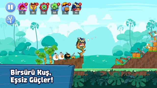 Angry Birds Friends Resimleri