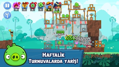 Angry Birds Friends Resimleri
