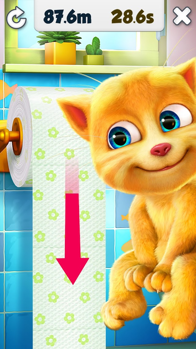 Konu�an Ginger Resimleri