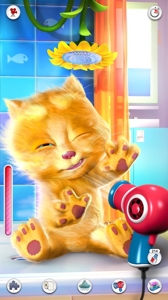 Konu�an Ginger Resimleri