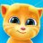 Konu�an Ginger