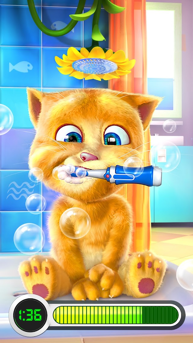 Konuşan Ginger Resimleri