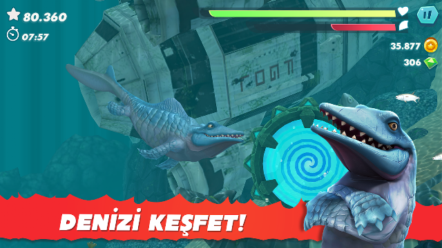 Hungry Shark Evolution Resimleri