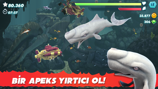 Hungry Shark Evolution Resimleri
