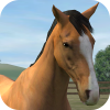 Android My Horse Resim